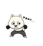 シバニーズのゴムテ（個別スタンプ：31）