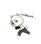 シバニーズのゴムテ（個別スタンプ：33）