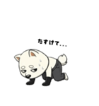 シバニーズのゴムテ（個別スタンプ：35）