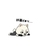 シバニーズのゴムテ（個別スタンプ：37）