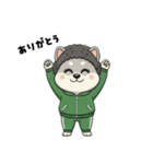 シバニーズのモジャ（個別スタンプ：11）