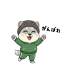 シバニーズのモジャ（個別スタンプ：12）