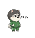 シバニーズのモジャ（個別スタンプ：17）