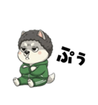 シバニーズのモジャ（個別スタンプ：23）