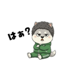 シバニーズのモジャ（個別スタンプ：24）