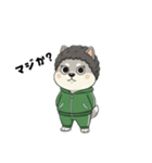 シバニーズのモジャ（個別スタンプ：31）