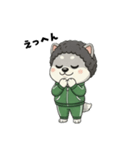 シバニーズのモジャ（個別スタンプ：34）