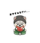 シバニーズのモジャ（個別スタンプ：40）