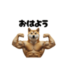 動く犬マッチョ☆（個別スタンプ：1）