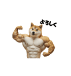 動く犬マッチョ☆（個別スタンプ：4）