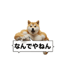 動く犬マッチョ☆（個別スタンプ：10）