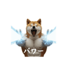 動く犬マッチョ☆（個別スタンプ：11）