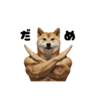 動く犬マッチョ☆（個別スタンプ：12）