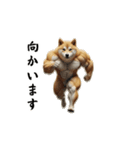 動く犬マッチョ☆（個別スタンプ：13）