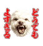 細かい事にガチギレ犬2（個別スタンプ：5）