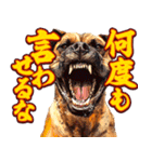 細かい事にガチギレ犬2（個別スタンプ：7）