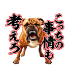 細かい事にガチギレ犬2（個別スタンプ：8）