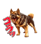 細かい事にガチギレ犬2（個別スタンプ：10）