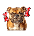 細かい事にガチギレ犬2（個別スタンプ：13）