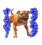 細かい事にガチギレ犬2（個別スタンプ：28）