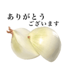 【敬語】 国産玉ねぎ（個別スタンプ：4）