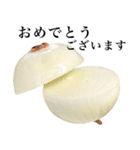 【敬語】 国産玉ねぎ（個別スタンプ：7）