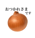 【敬語】 国産玉ねぎ（個別スタンプ：8）