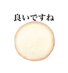 【敬語】 国産玉ねぎ（個別スタンプ：11）