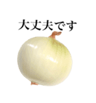 【敬語】 国産玉ねぎ（個別スタンプ：13）