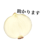 【敬語】 国産玉ねぎ（個別スタンプ：16）