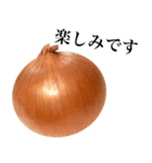 【敬語】 国産玉ねぎ（個別スタンプ：17）