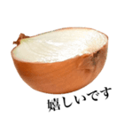 【敬語】 国産玉ねぎ（個別スタンプ：19）