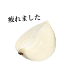 【敬語】 国産玉ねぎ（個別スタンプ：20）