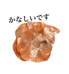 【敬語】 国産玉ねぎ（個別スタンプ：21）