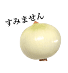 【敬語】 国産玉ねぎ（個別スタンプ：22）