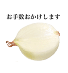 【敬語】 国産玉ねぎ（個別スタンプ：23）