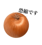 【敬語】 国産玉ねぎ（個別スタンプ：24）