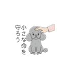 犬の日特集✧世界中のわんちゃんに幸せを♡（個別スタンプ：2）