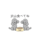 犬の日特集✧世界中のわんちゃんに幸せを♡（個別スタンプ：3）