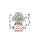 犬の日特集✧世界中のわんちゃんに幸せを♡（個別スタンプ：5）