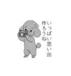 犬の日特集✧世界中のわんちゃんに幸せを♡（個別スタンプ：6）