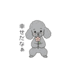犬の日特集✧世界中のわんちゃんに幸せを♡（個別スタンプ：7）