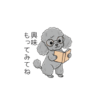 犬の日特集✧世界中のわんちゃんに幸せを♡（個別スタンプ：13）