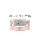 犬の日特集✧世界中のわんちゃんに幸せを♡（個別スタンプ：14）