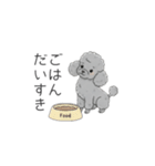 犬の日特集✧世界中のわんちゃんに幸せを♡（個別スタンプ：16）