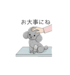 犬の日特集✧世界中のわんちゃんに幸せを♡（個別スタンプ：17）