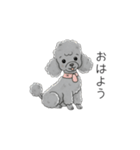 犬の日特集✧世界中のわんちゃんに幸せを♡（個別スタンプ：22）