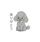 犬の日特集✧世界中のわんちゃんに幸せを♡（個別スタンプ：24）