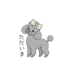 犬の日特集✧世界中のわんちゃんに幸せを♡（個別スタンプ：30）