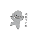 犬の日特集✧世界中のわんちゃんに幸せを♡（個別スタンプ：35）